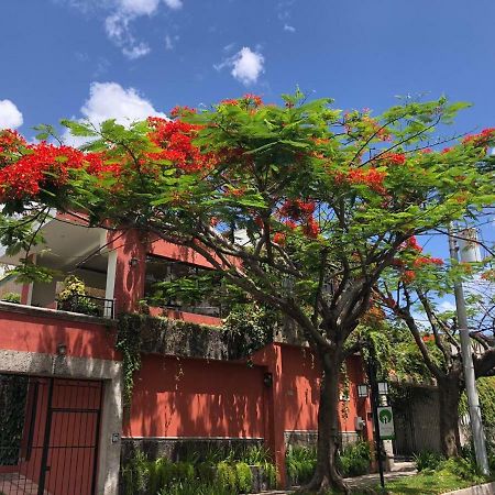 Hotel Arbol De Fuego San Salvador Eksteriør bilde