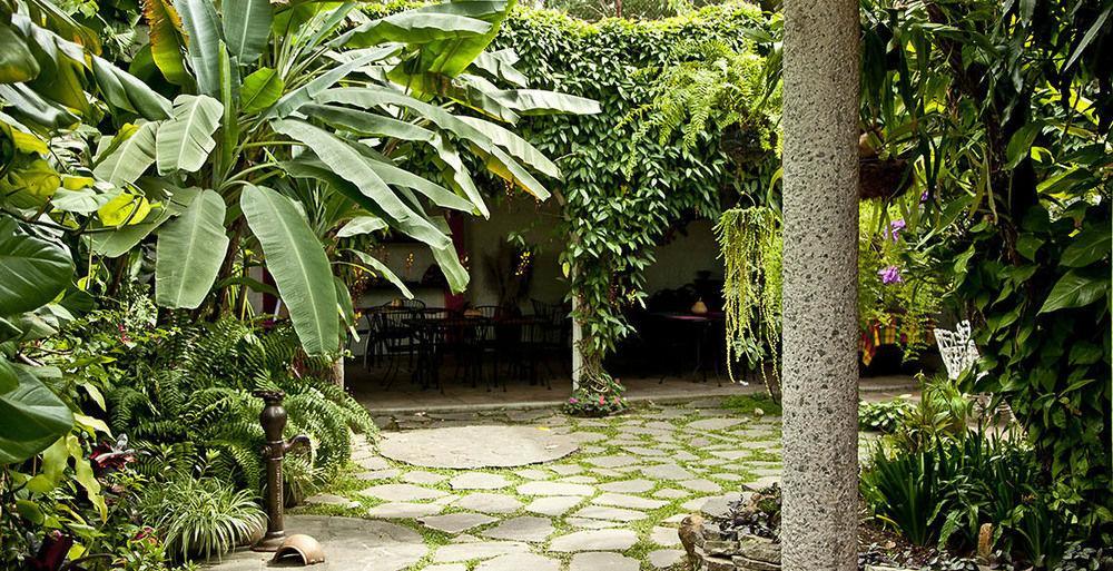 Hotel Arbol De Fuego San Salvador Eksteriør bilde