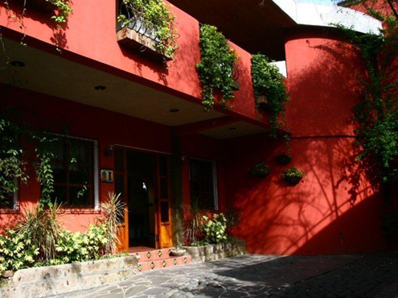 Hotel Arbol De Fuego San Salvador Eksteriør bilde