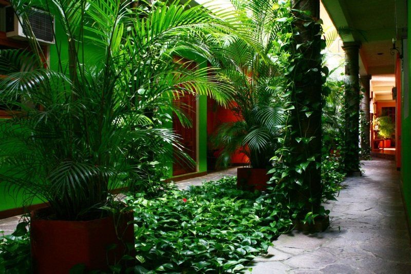 Hotel Arbol De Fuego San Salvador Eksteriør bilde