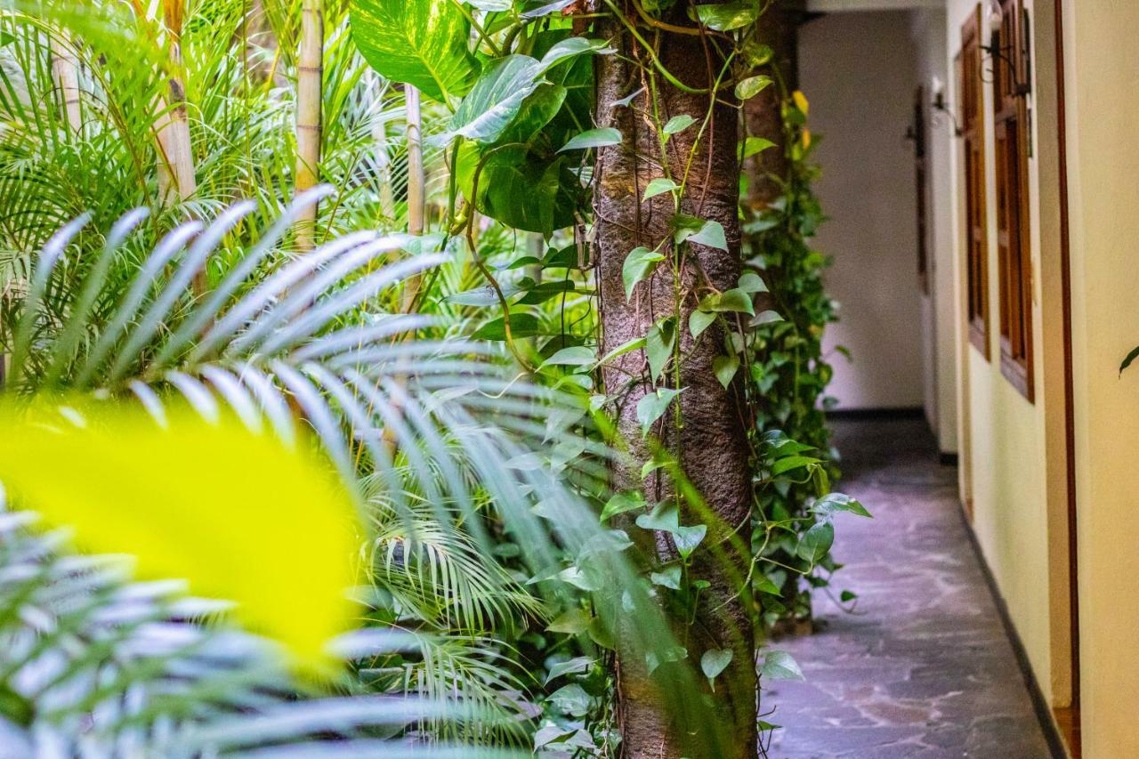 Hotel Arbol De Fuego San Salvador Eksteriør bilde