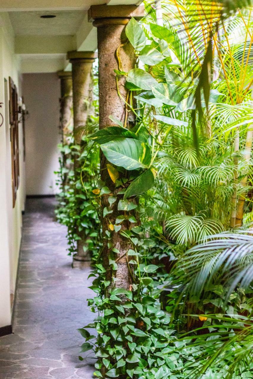 Hotel Arbol De Fuego San Salvador Eksteriør bilde