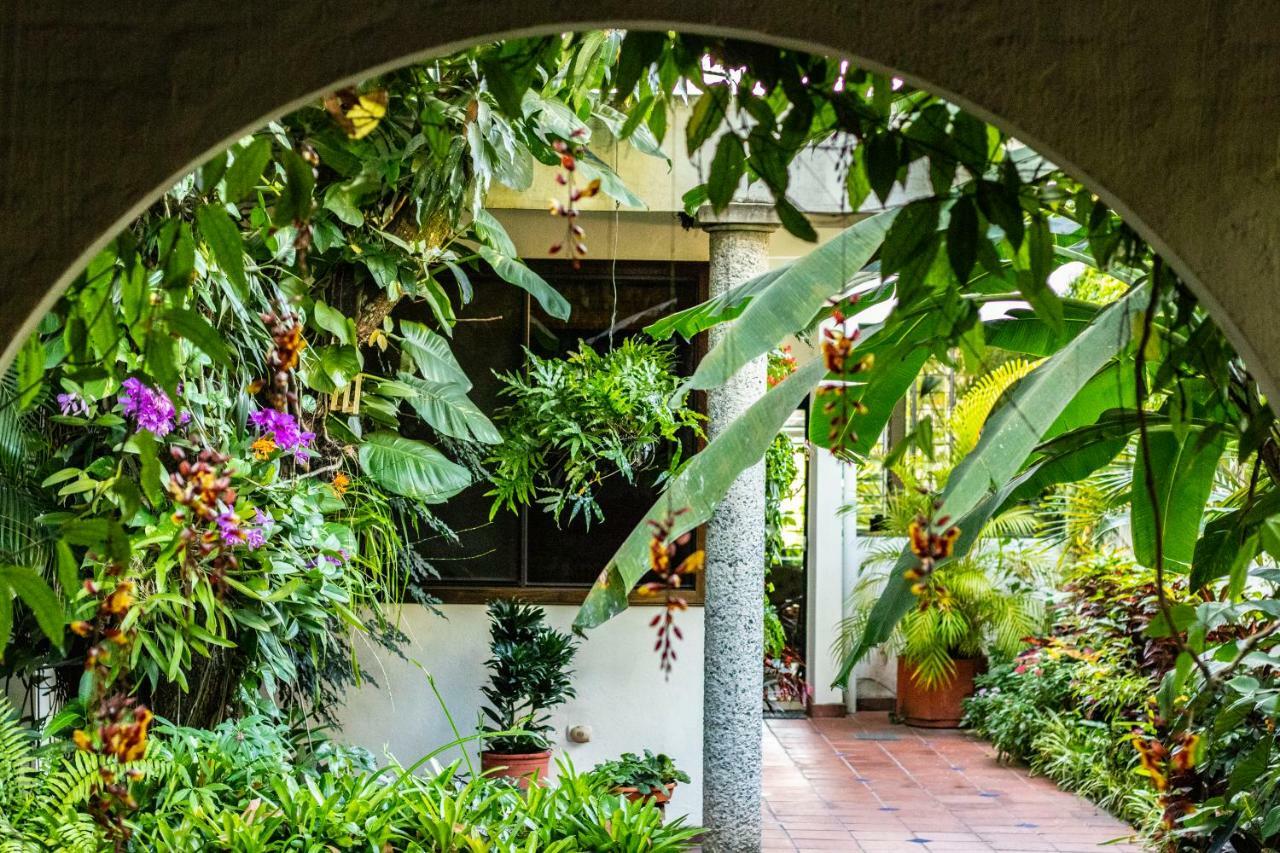 Hotel Arbol De Fuego San Salvador Eksteriør bilde