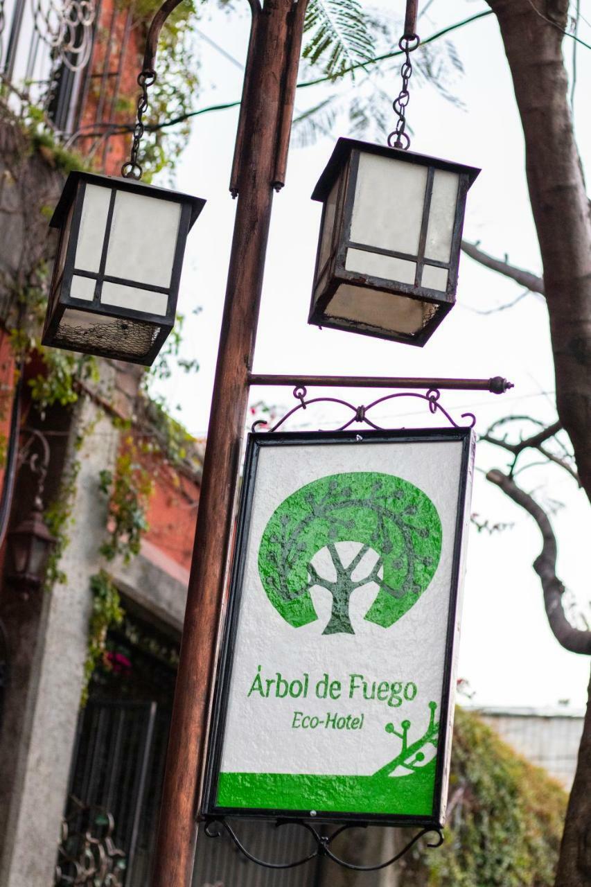Hotel Arbol De Fuego San Salvador Eksteriør bilde