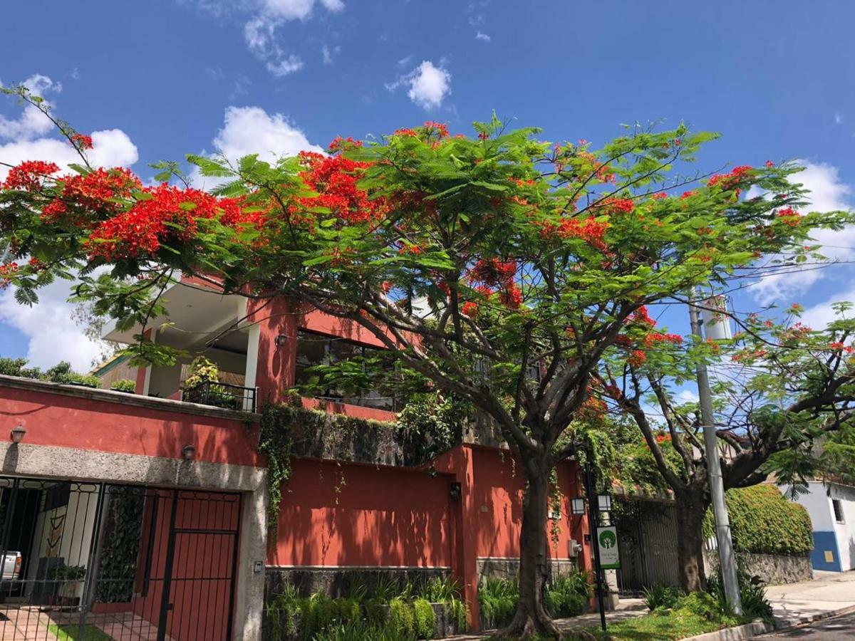 Hotel Arbol De Fuego San Salvador Eksteriør bilde